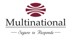 Multinational